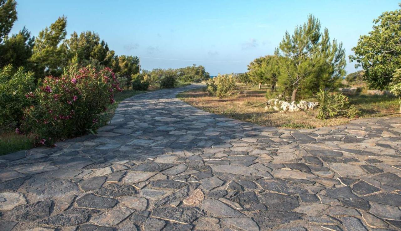 Kouremenos Beach House West Sitia  Exteriör bild